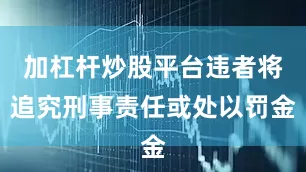 加杠杆炒股平台违者将追究刑事责任或处以罚金