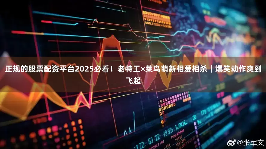 正规的股票配资平台2025必看！老特工×菜鸟萌新相爱相杀｜爆笑动作爽到飞起