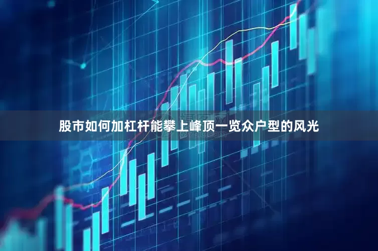 股市如何加杠杆能攀上峰顶一览众户型的风光