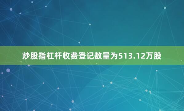 炒股指杠杆收费登记数量为513.12万股