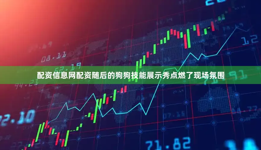 配资信息网配资随后的狗狗技能展示秀点燃了现场氛围
